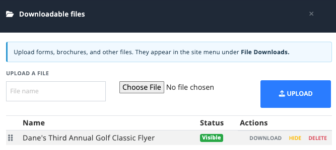 Inline Website Editor Downloadable files panel with upload controls, file visibility status, download actions, and drag-to-reorder handles.