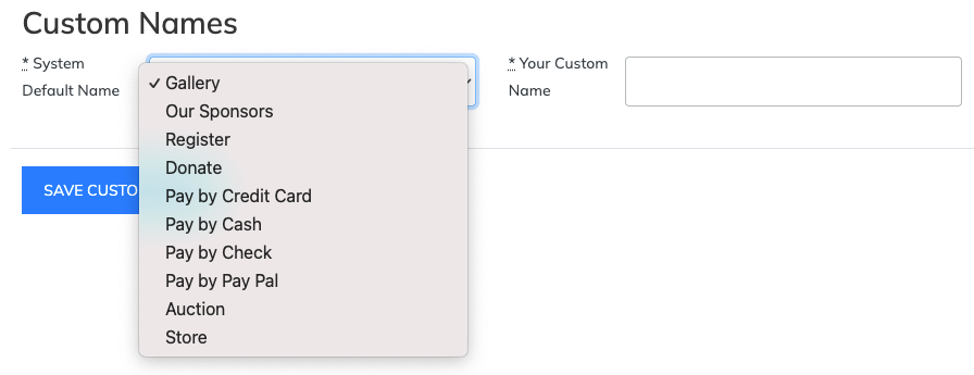 Website Editor Custom Names settings showing customizable default names including Gallery, Sponsors, Register, Donate, payment labels, Auction, and Store.